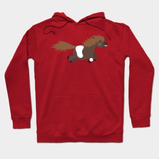 Cute happy Shetland pony cartoon illustration Hoodie